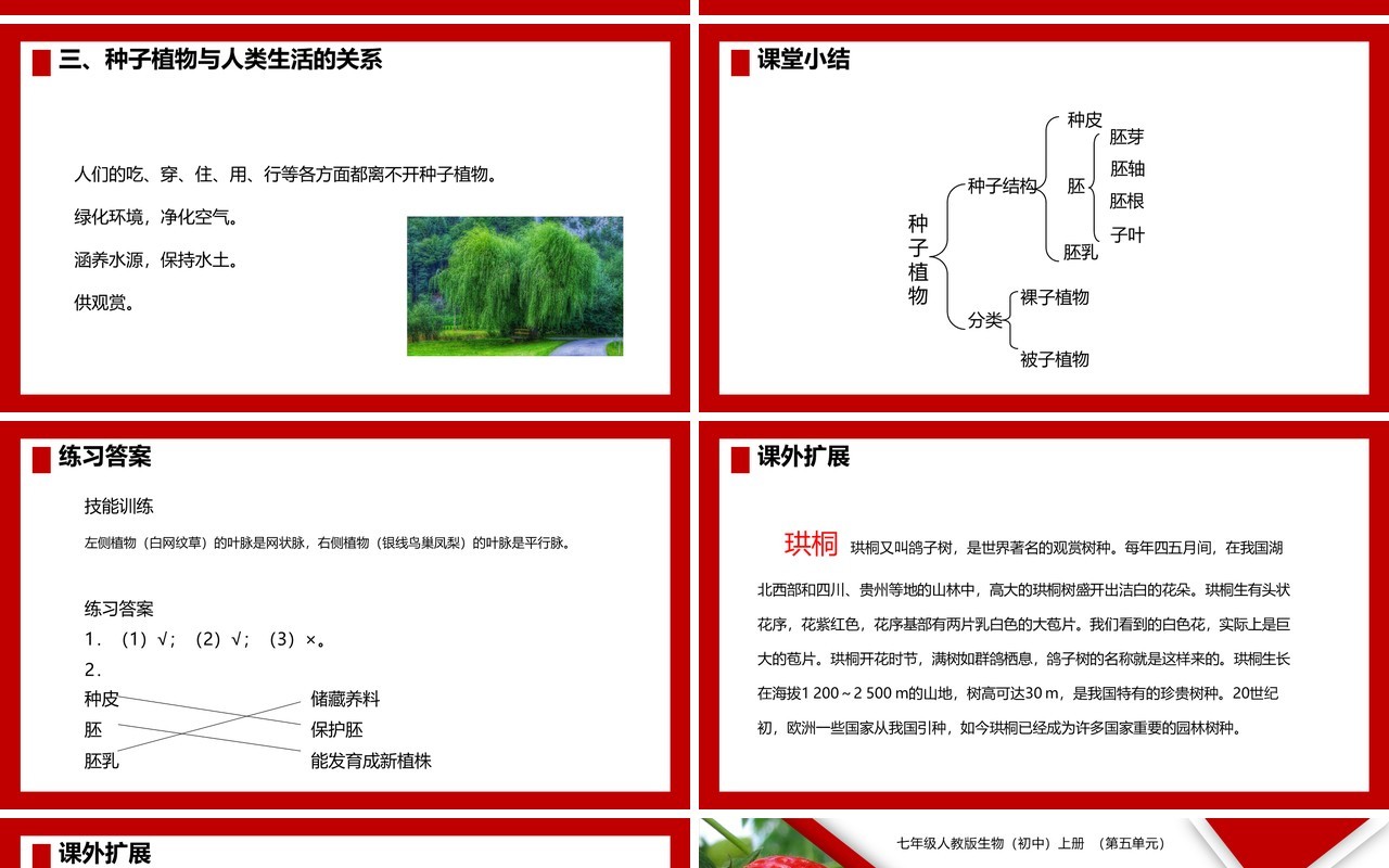部编版七年级生物上册种子植物课件PPT模板