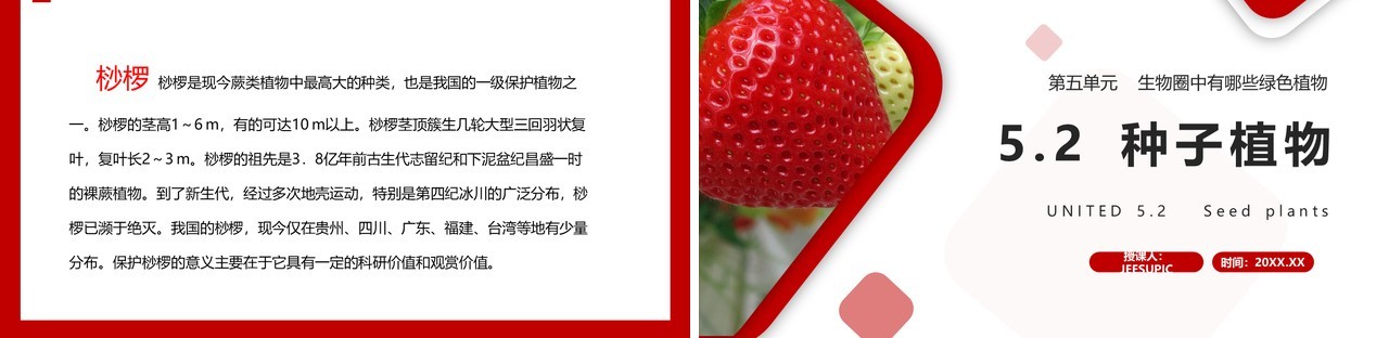部编版七年级生物上册种子植物课件PPT模板