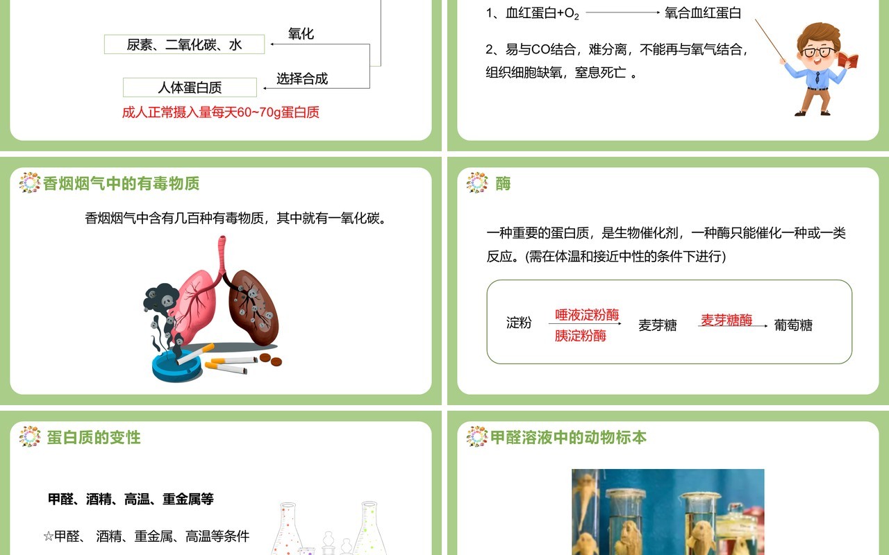 部编版九年级化学下册人类重要的营养物质课件PPT模板