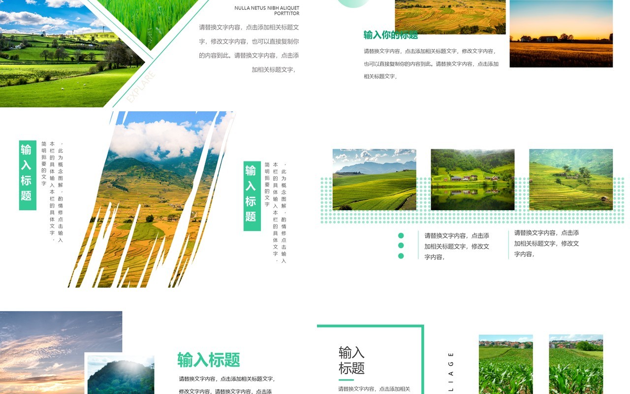 绿色简约大学生三下乡社会实践PPT模板