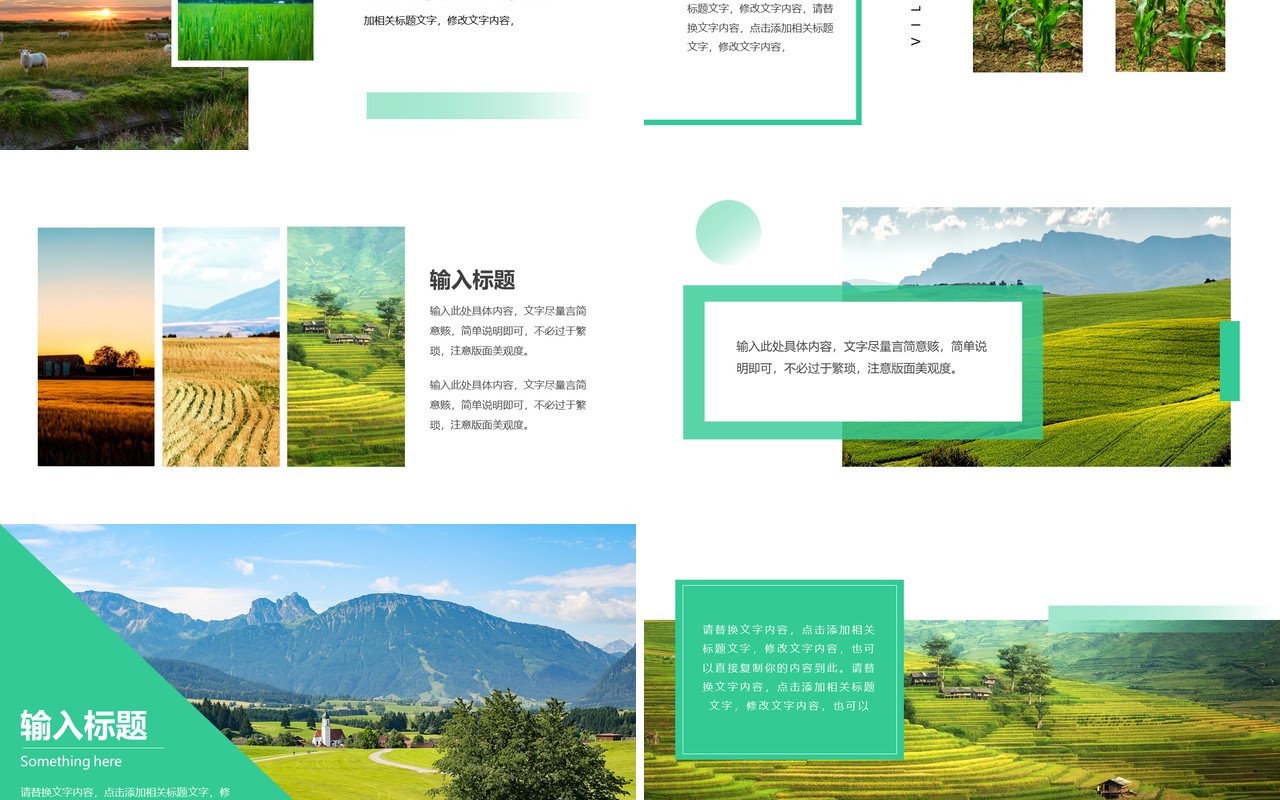 绿色简约大学生三下乡社会实践PPT模板