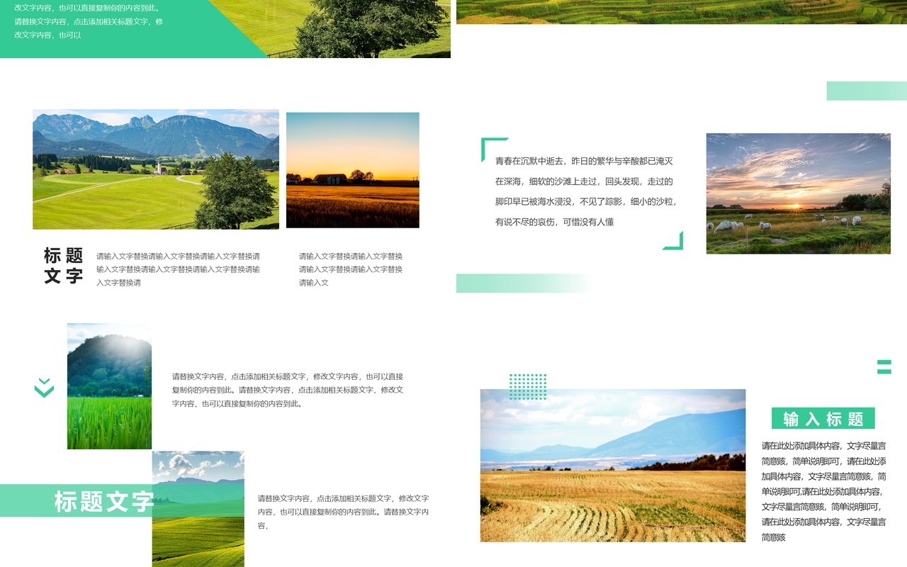 绿色简约大学生三下乡社会实践PPT模板