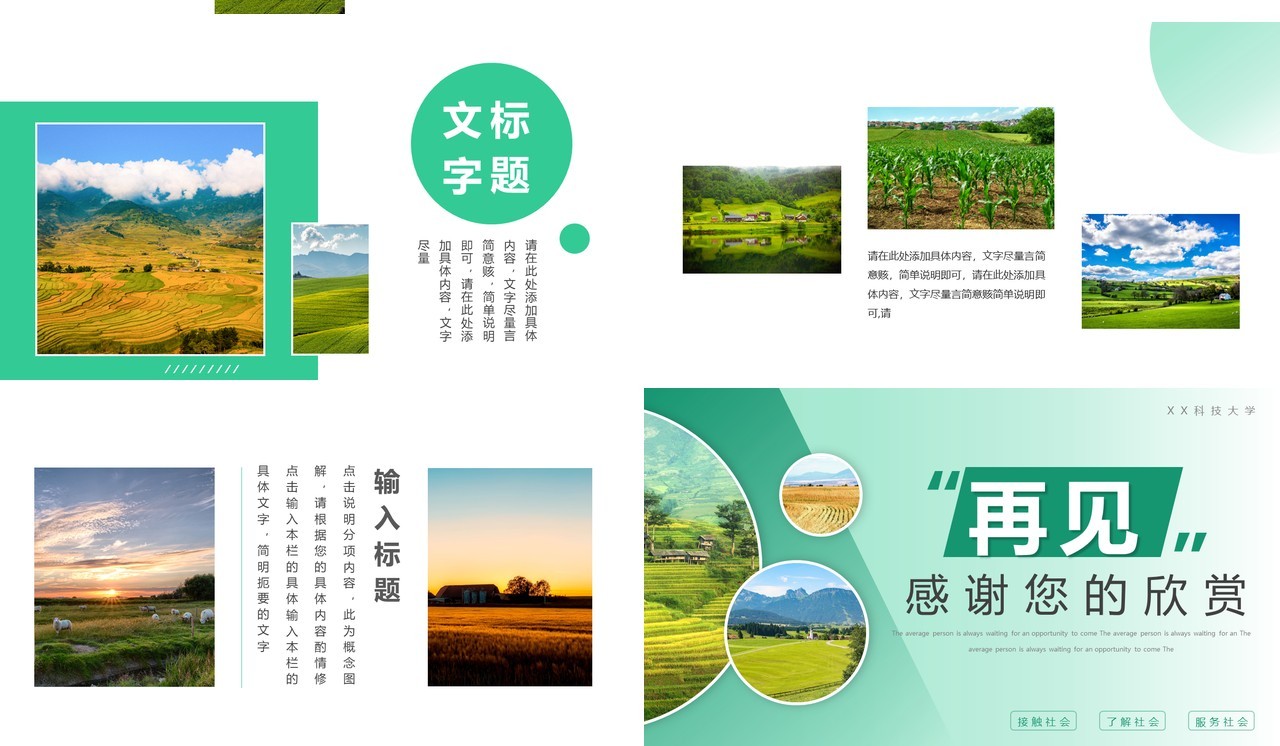 绿色简约大学生三下乡社会实践PPT模板