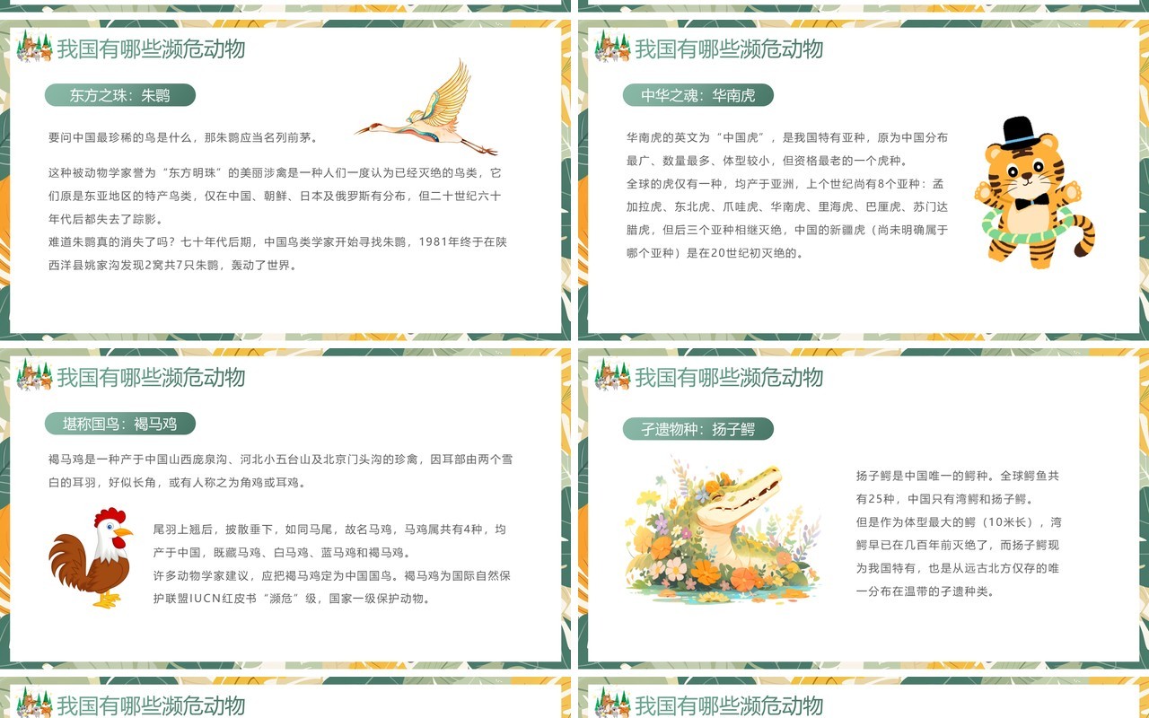绿色清新风世界动物日宣传介绍PPT模板