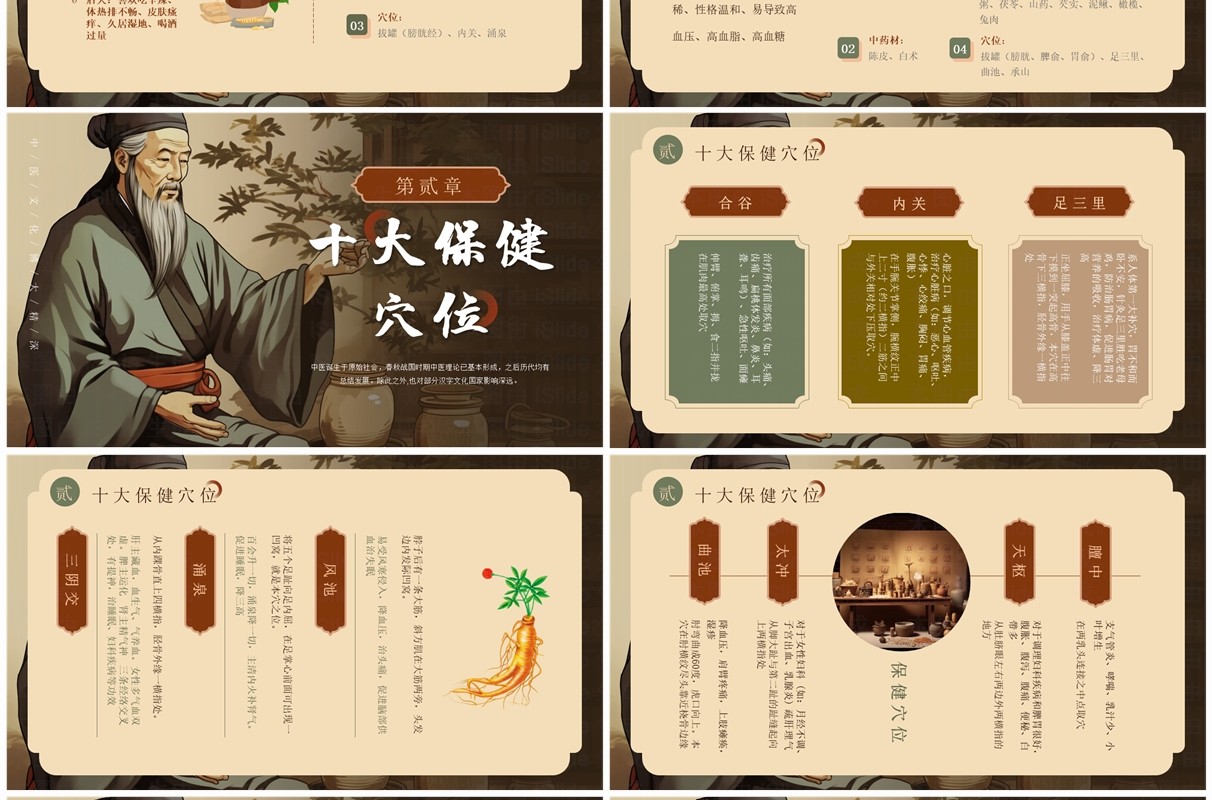 棕色中国风中医健康养生宣传PPT模板
