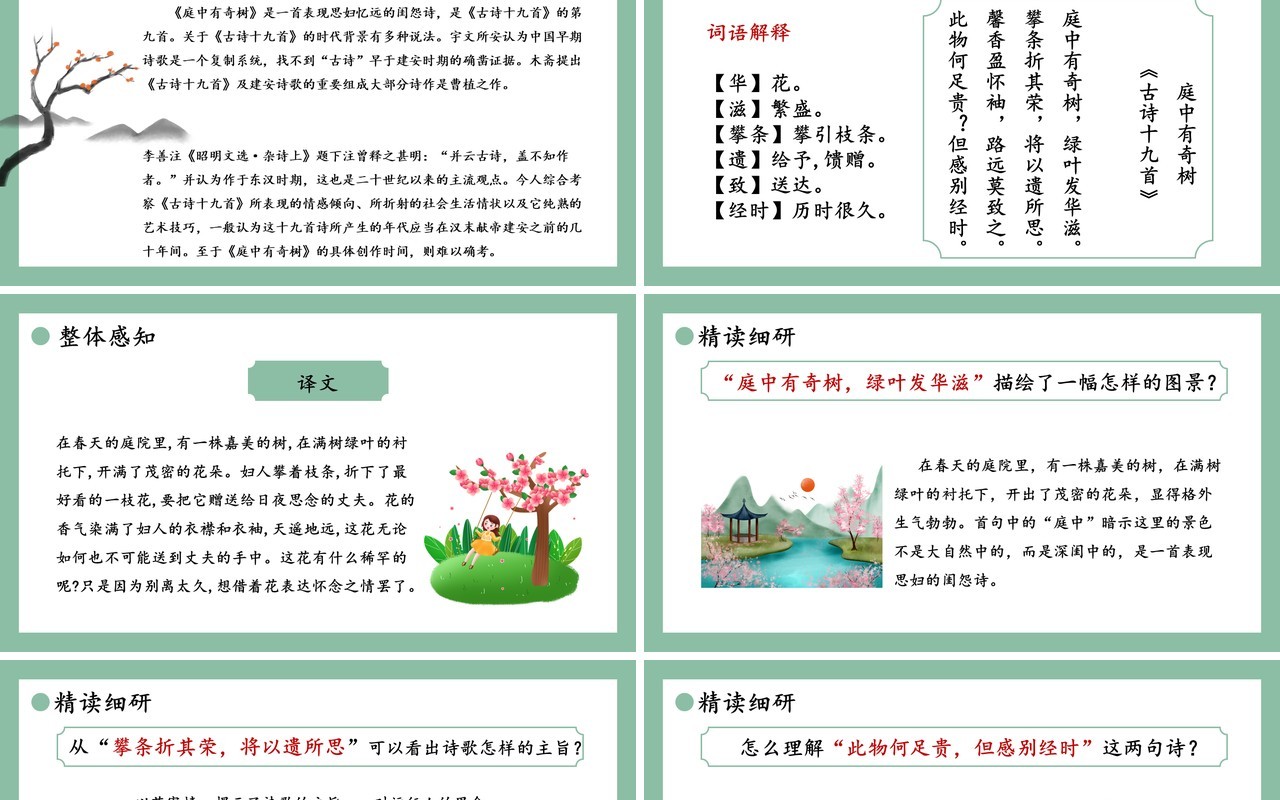 部编版八年级语文上册庭中有奇树课件PPT模板
