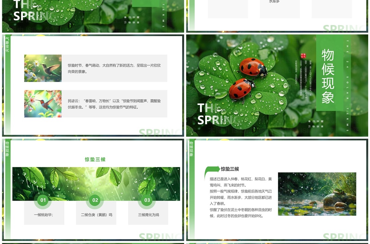 绿色插画风二十四节气之惊蛰介绍PPT模板