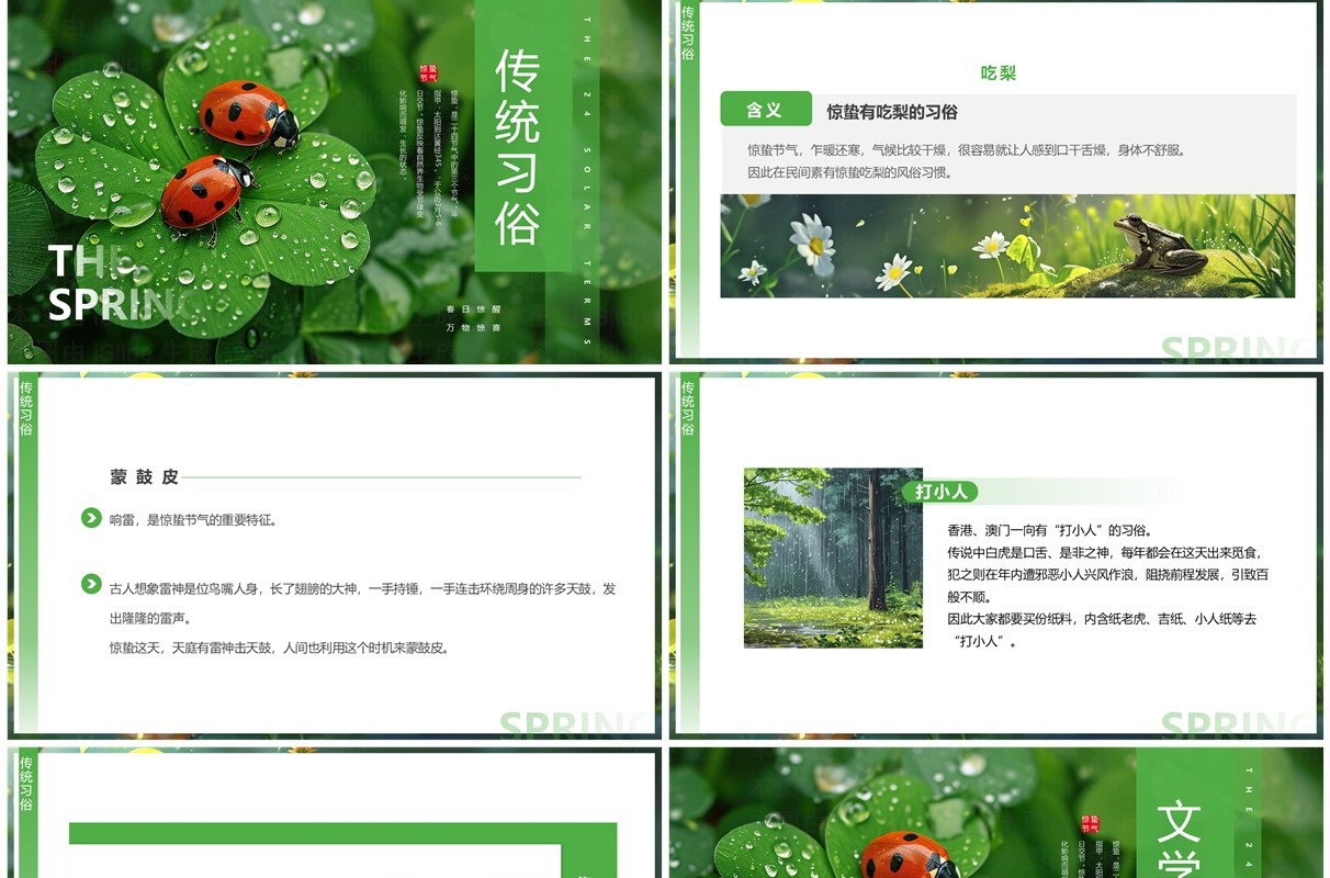 绿色插画风二十四节气之惊蛰介绍PPT模板