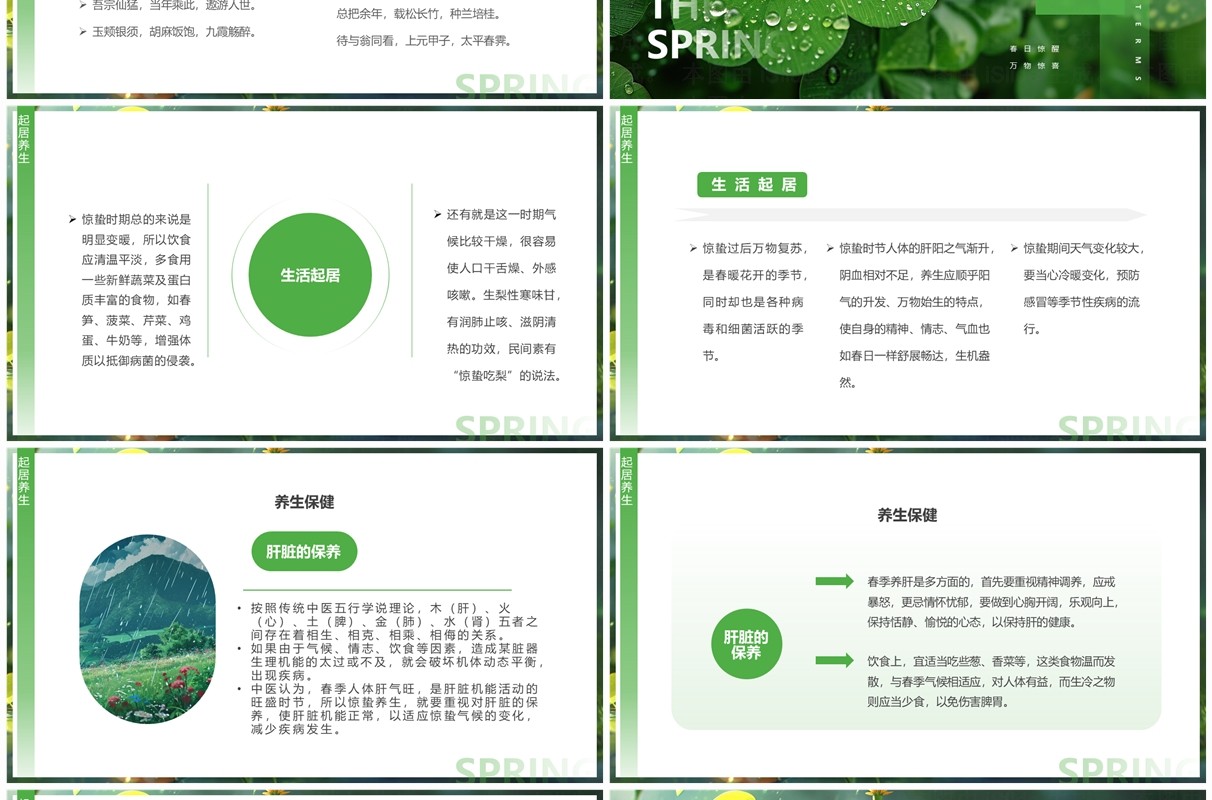 绿色插画风二十四节气之惊蛰介绍PPT模板