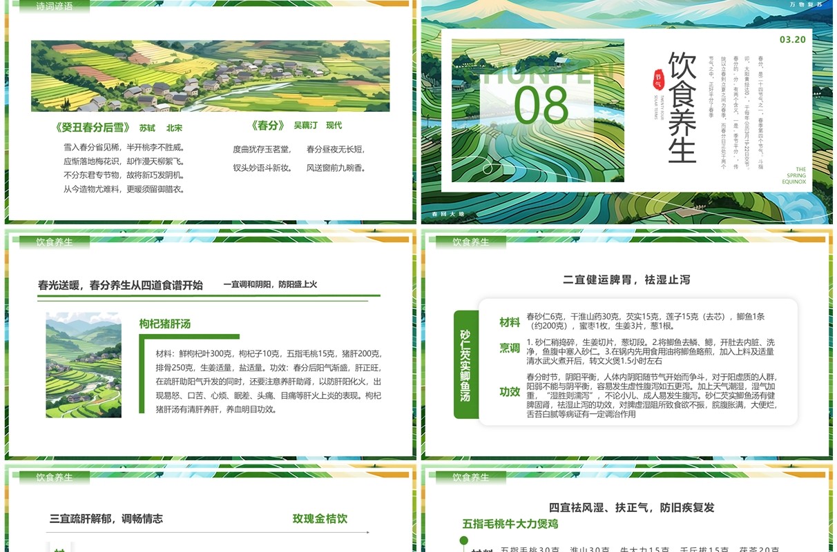 绿色插画风二十四节气之春分PPT模板