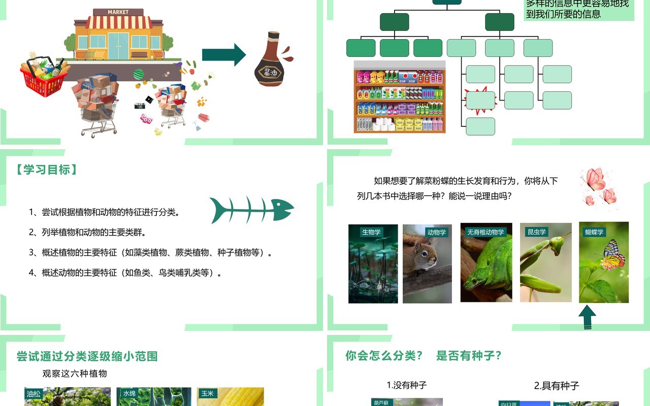 部编版八年级生物上册尝试第六单元对生物进行分类PPT模板