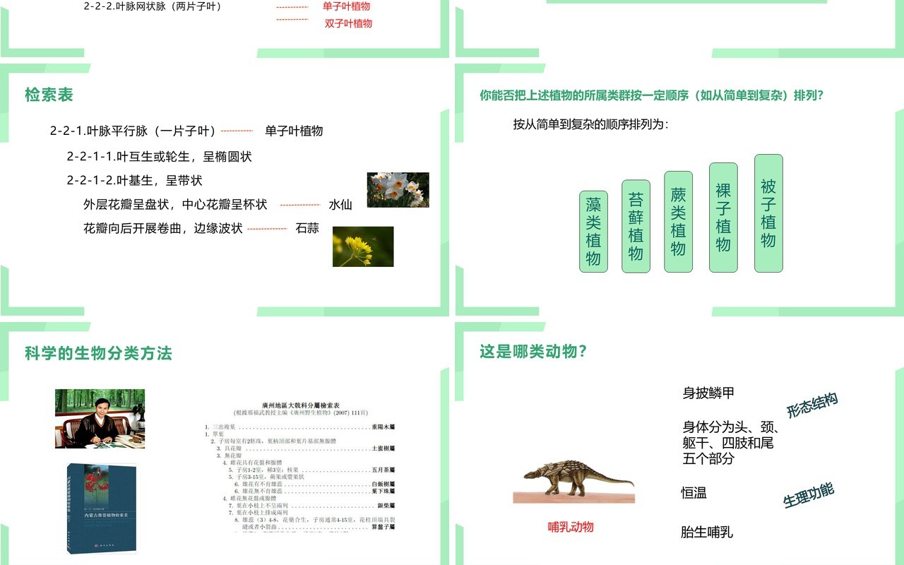 部编版八年级生物上册尝试第六单元对生物进行分类PPT模板