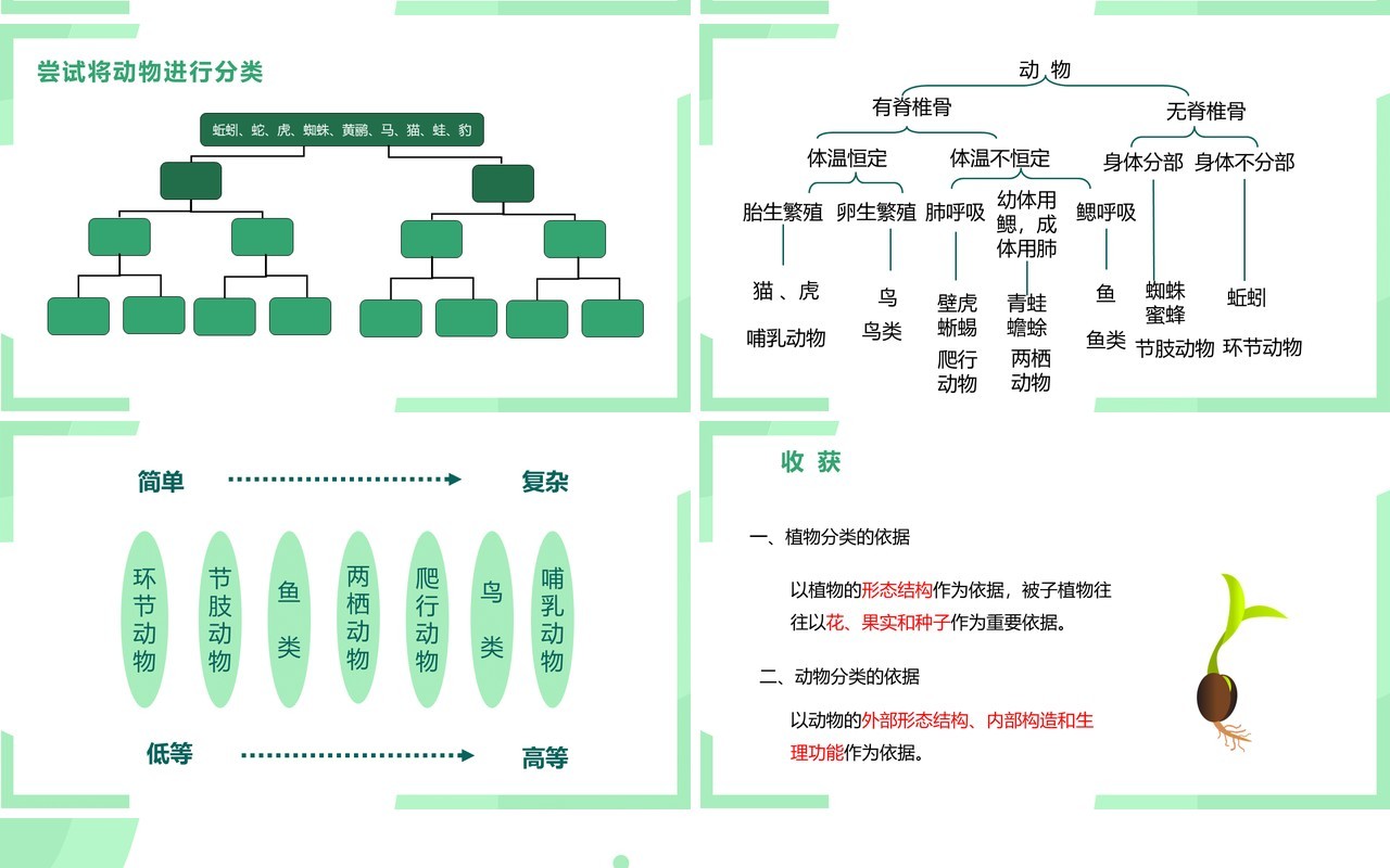 部编版八年级生物上册尝试第六单元对生物进行分类PPT模板