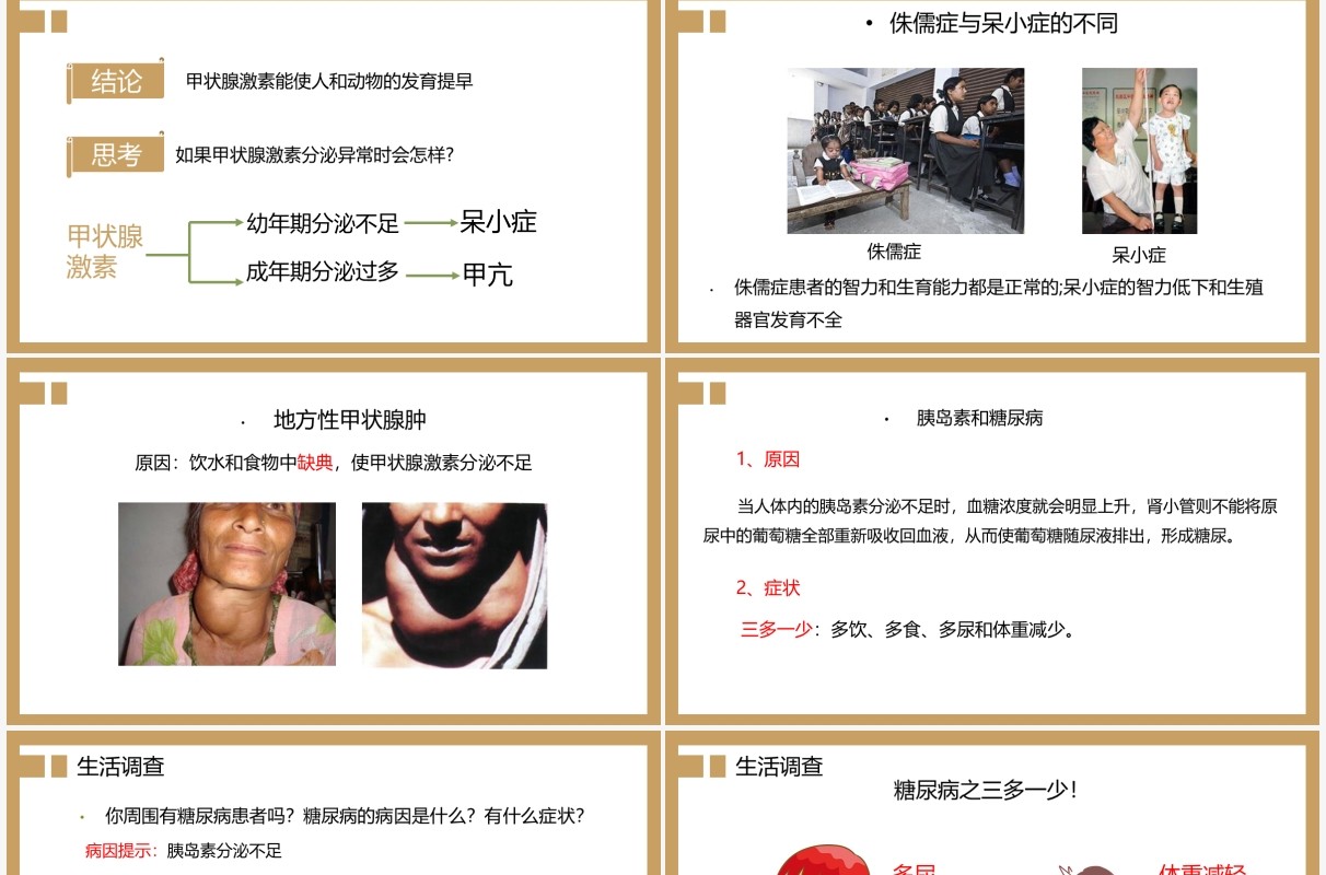 部编版九年级上册激素调节课件PPT模板