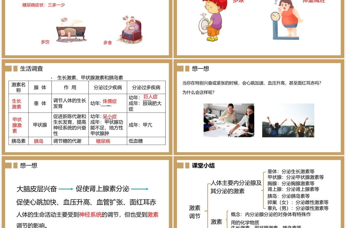 部编版九年级上册激素调节课件PPT模板