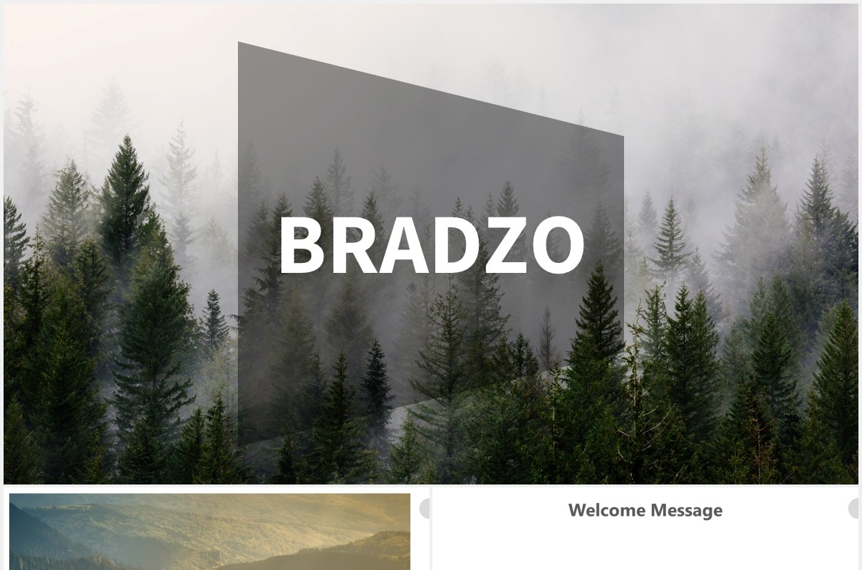 商务商业企业宣传介绍PPT模板bradzo powerpoint template