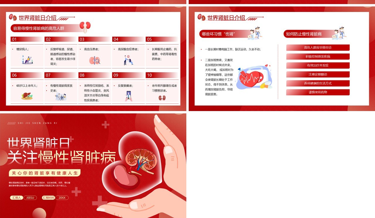 红色简约风世界肾脏日介绍PPT模板