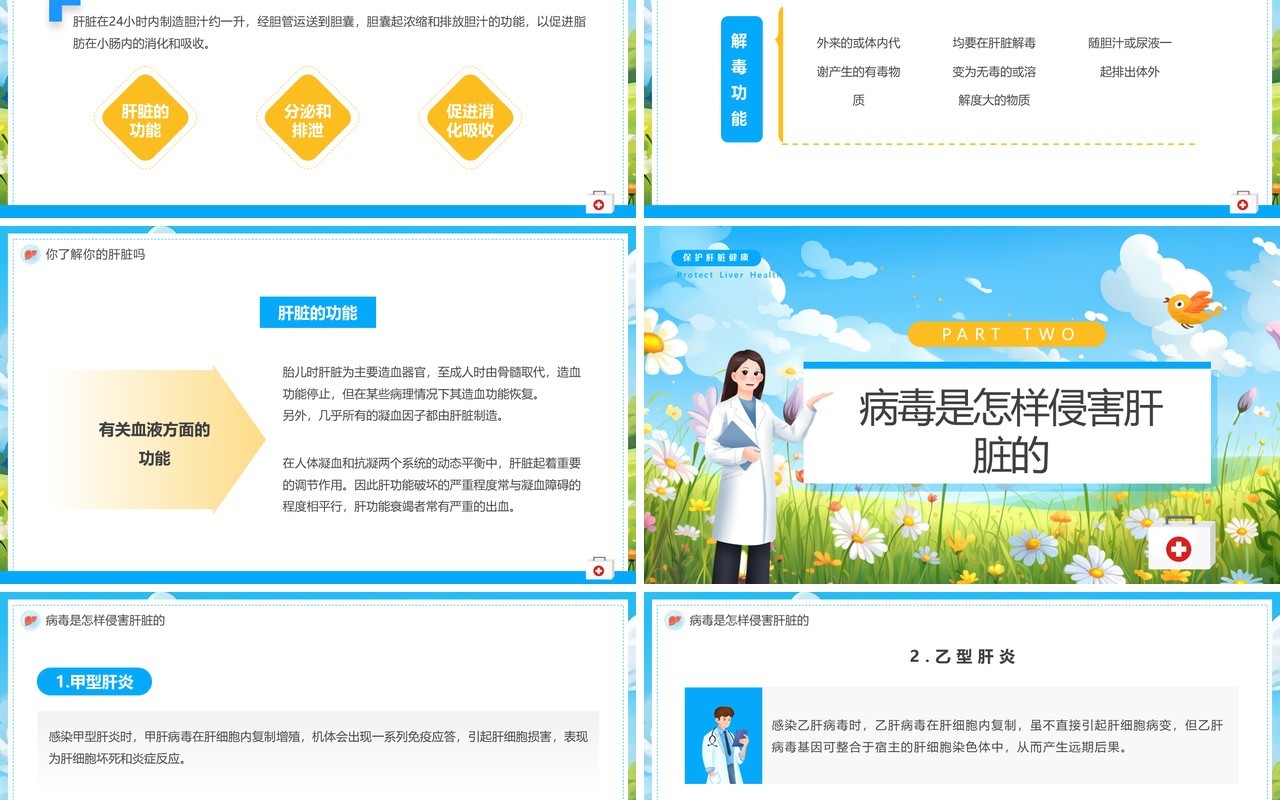 蓝色卡通风全国爱肝日主题教育PPT模板