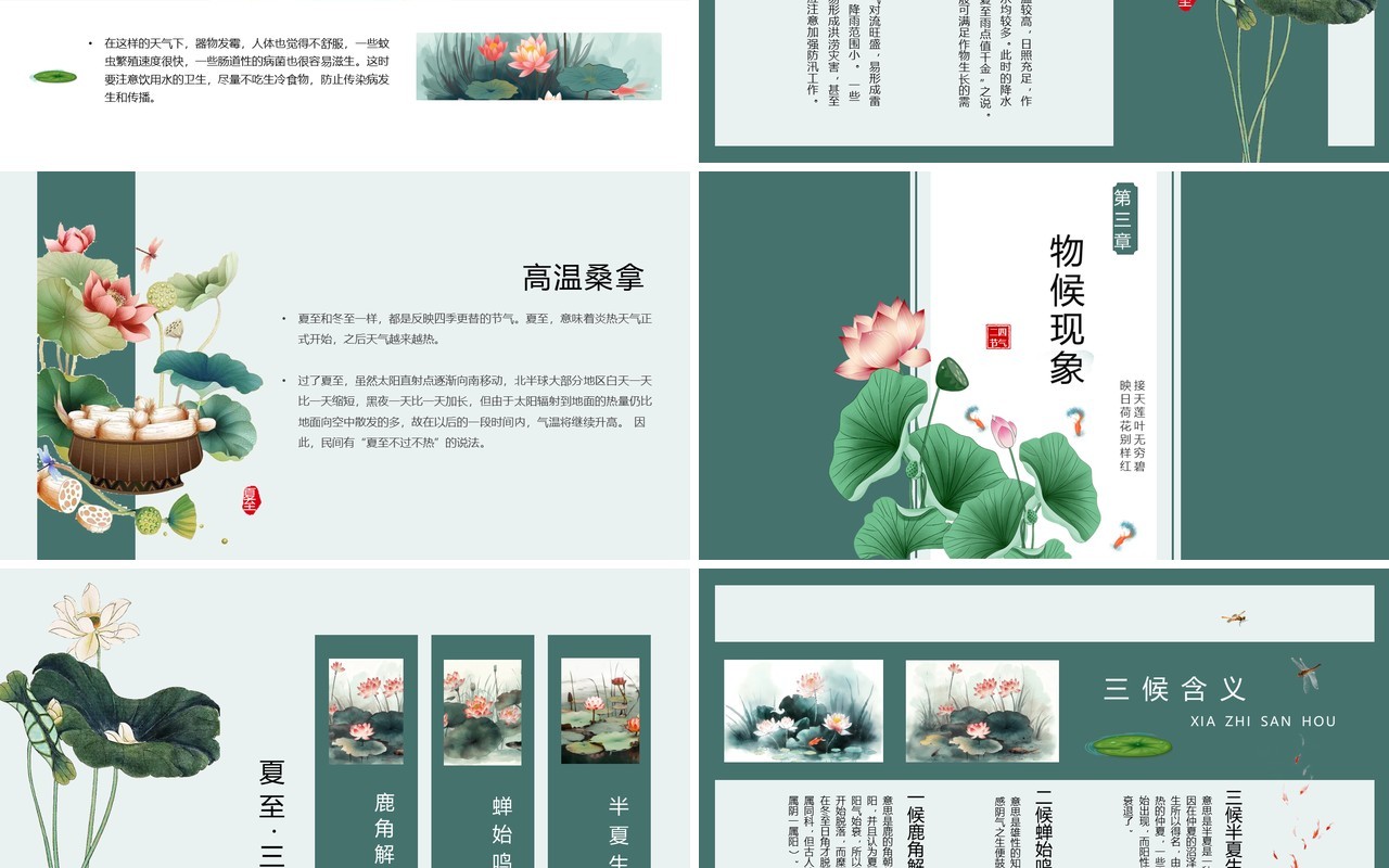绿色中国风二十四节气之夏至PPT模板