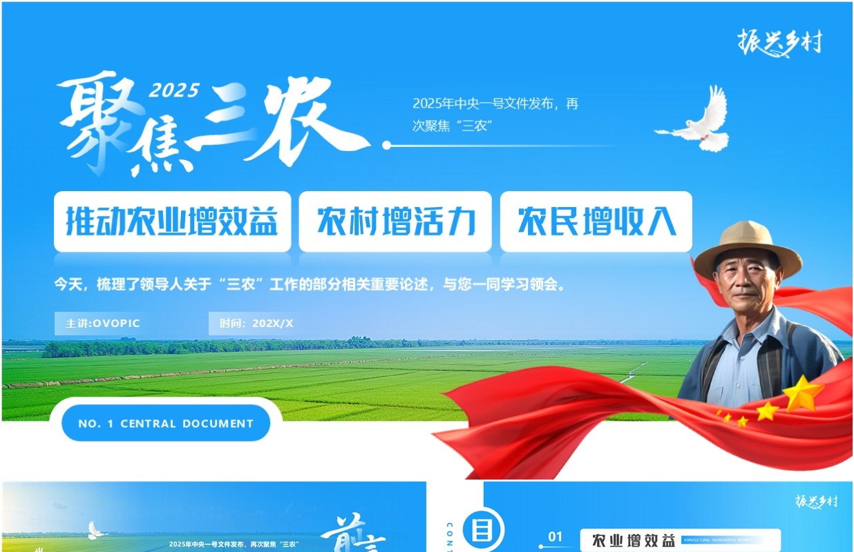 蓝色简约风2025中央一号文件聚焦三农PPT模板