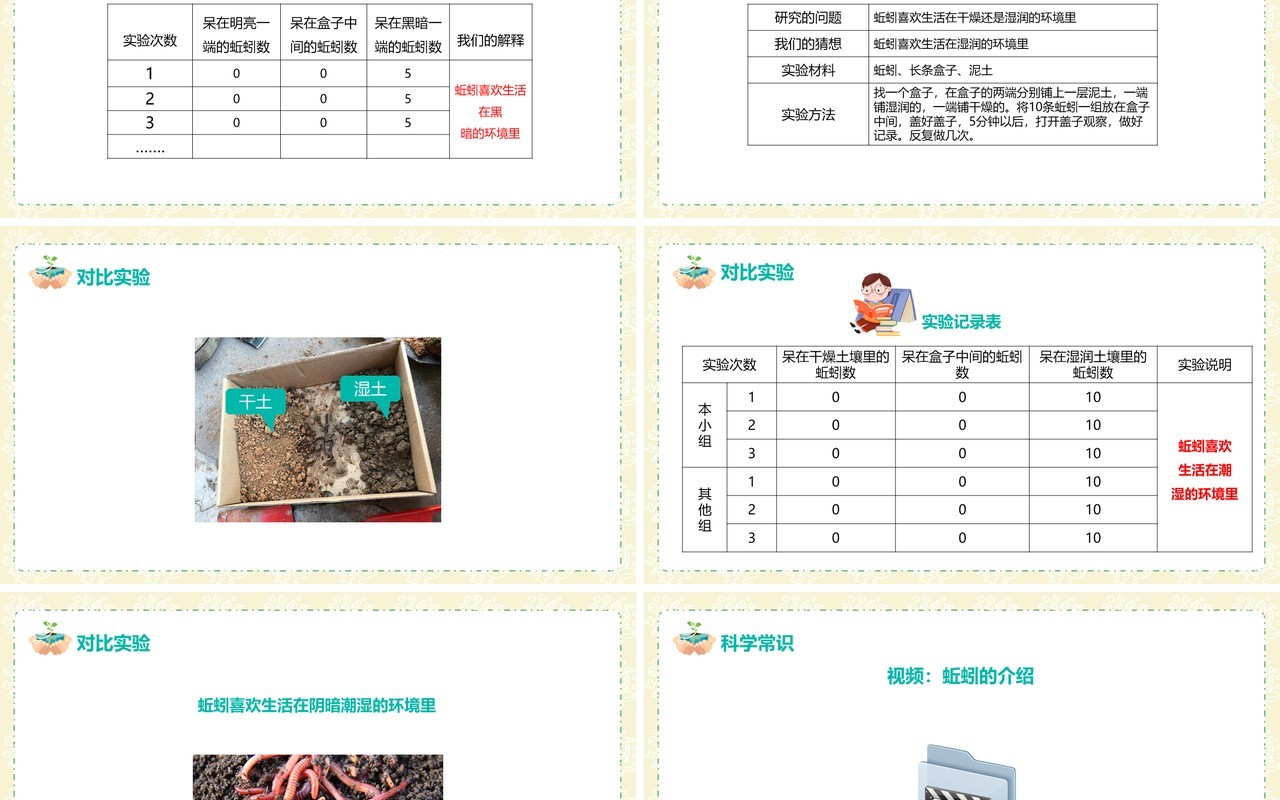 教科版五年级科学上册蚯蚓的选择PPT模板