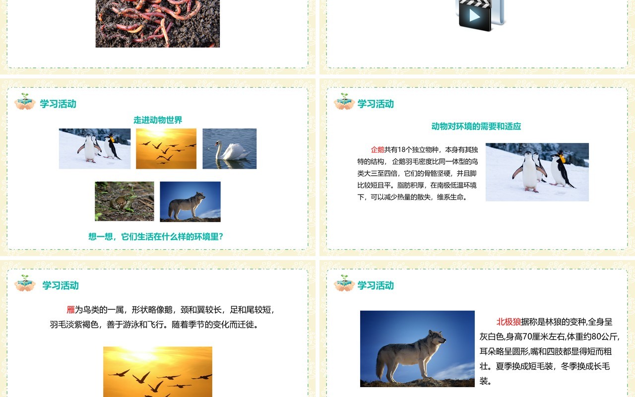 教科版五年级科学上册蚯蚓的选择PPT模板