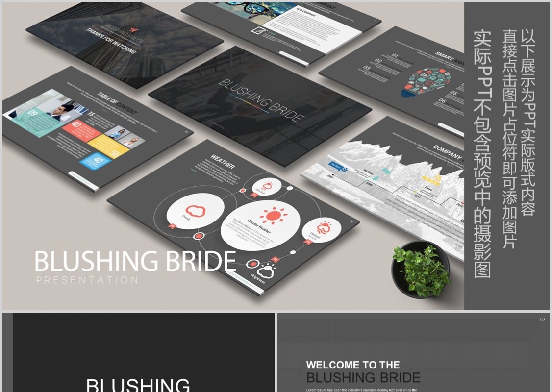 产品介绍公司宣传PPT版式设计模板BLUSHING BRIDE Powerpoint