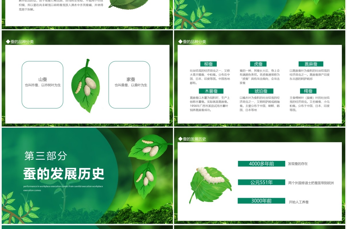 如何饲养蚕宝宝知识介绍动态PPT模板