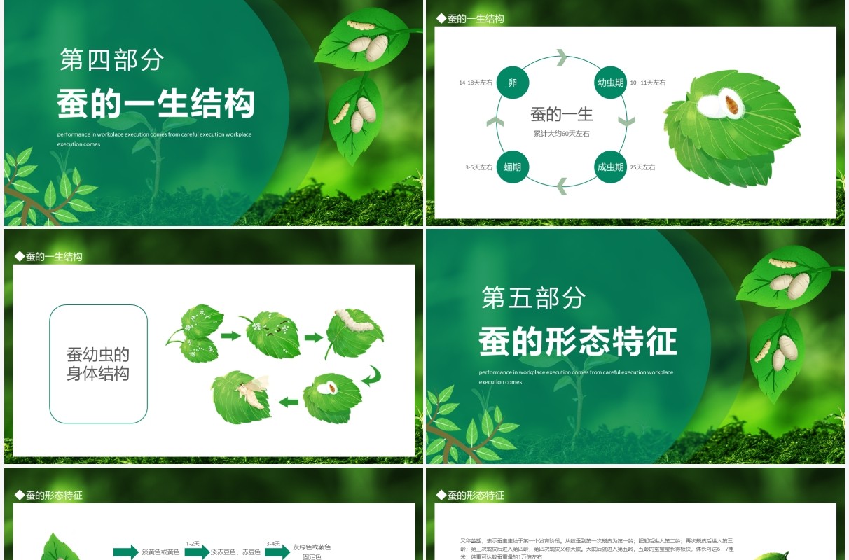 如何饲养蚕宝宝知识介绍动态PPT模板