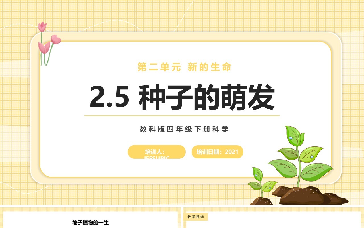 教科版四年级下册种子的萌发课件PPT模板