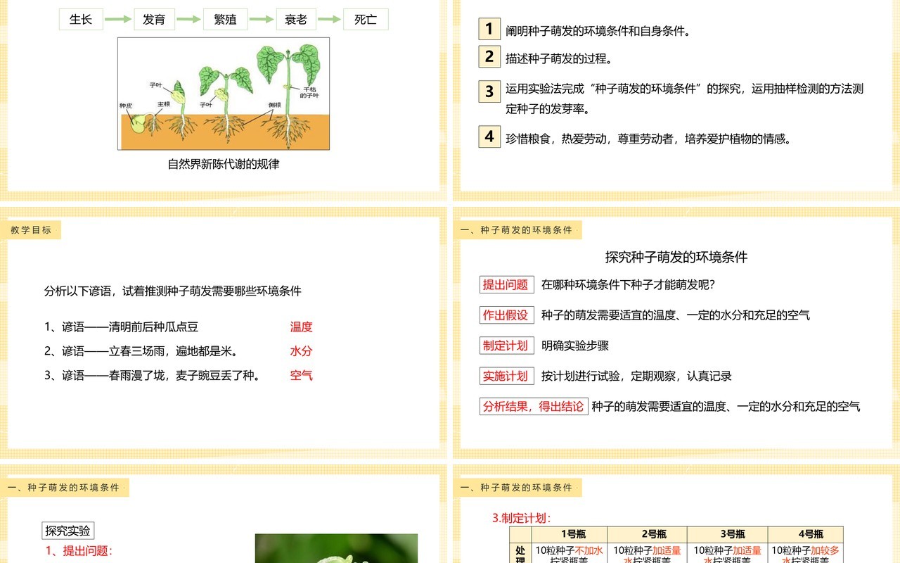 教科版四年级下册种子的萌发课件PPT模板