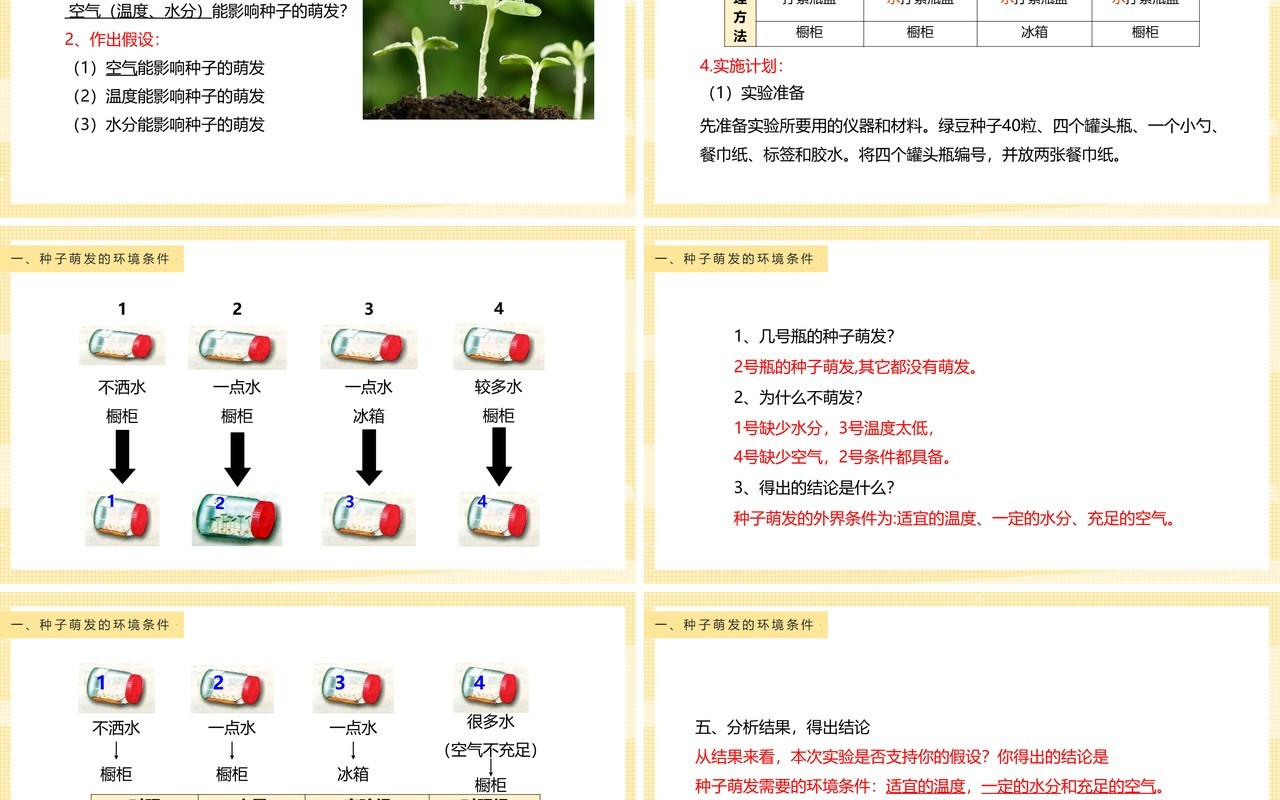 教科版四年级下册种子的萌发课件PPT模板