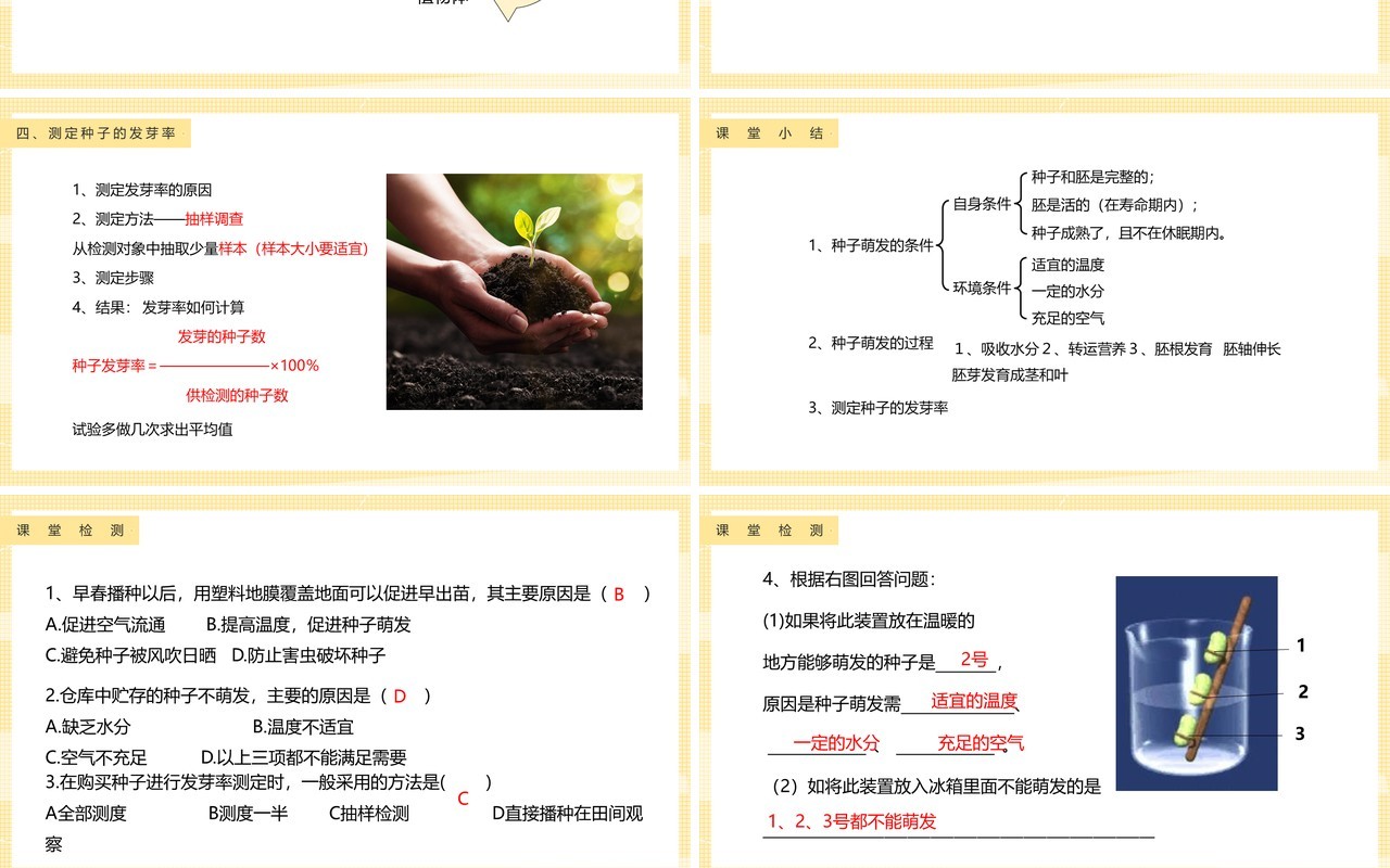 教科版四年级下册种子的萌发课件PPT模板