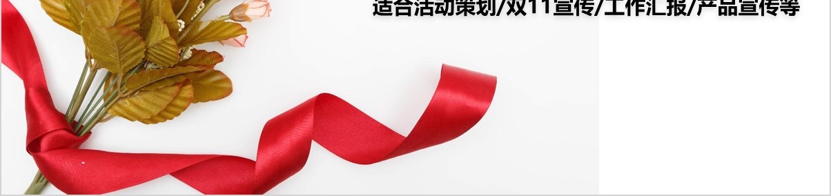 双十一活动策划方案产品宣传PPT模板