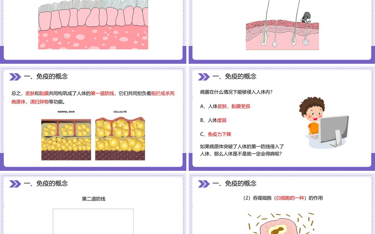 部编版八年级生物下册免疫与计划免疫课件PPT模板