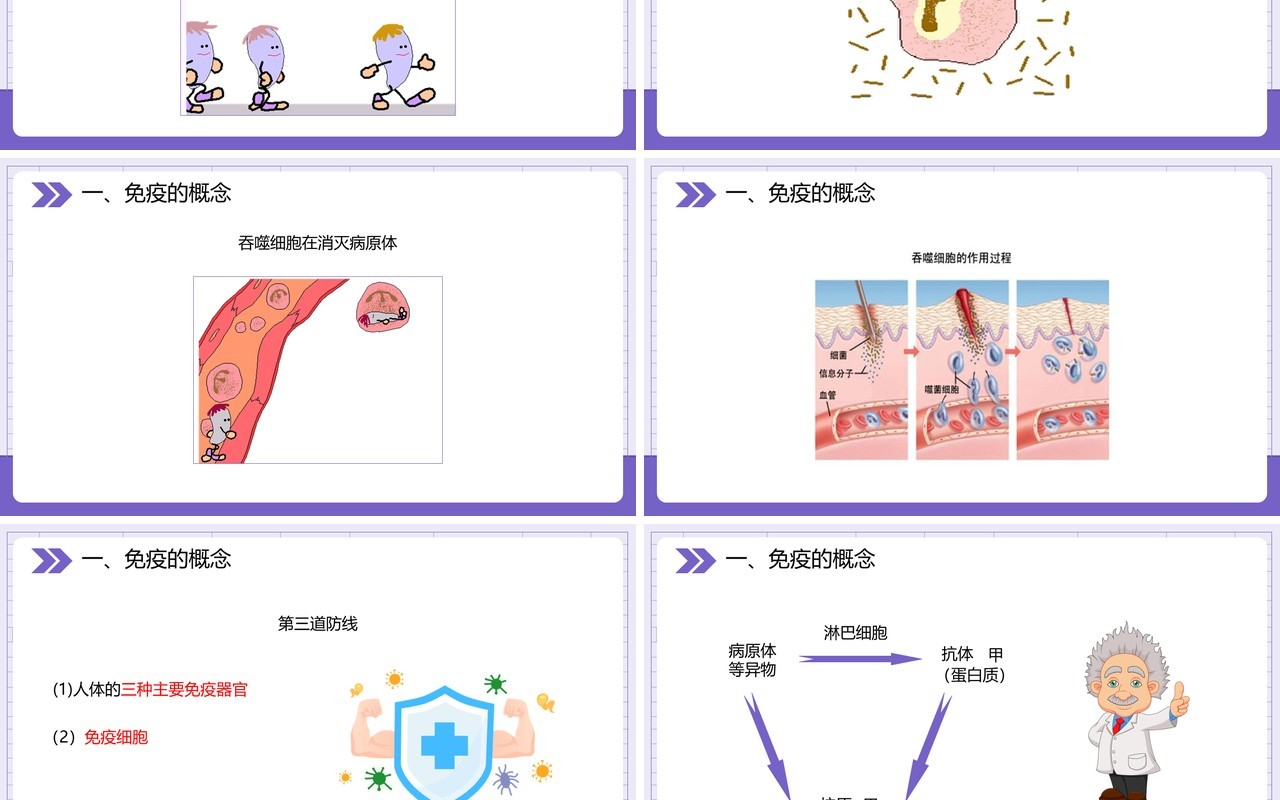 部编版八年级生物下册免疫与计划免疫课件PPT模板