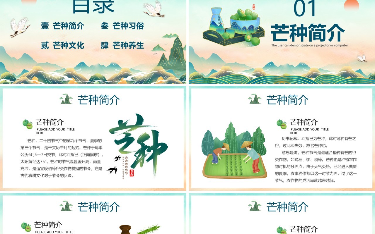蓝色卡通风中国传统二十四节气芒种PPT模板