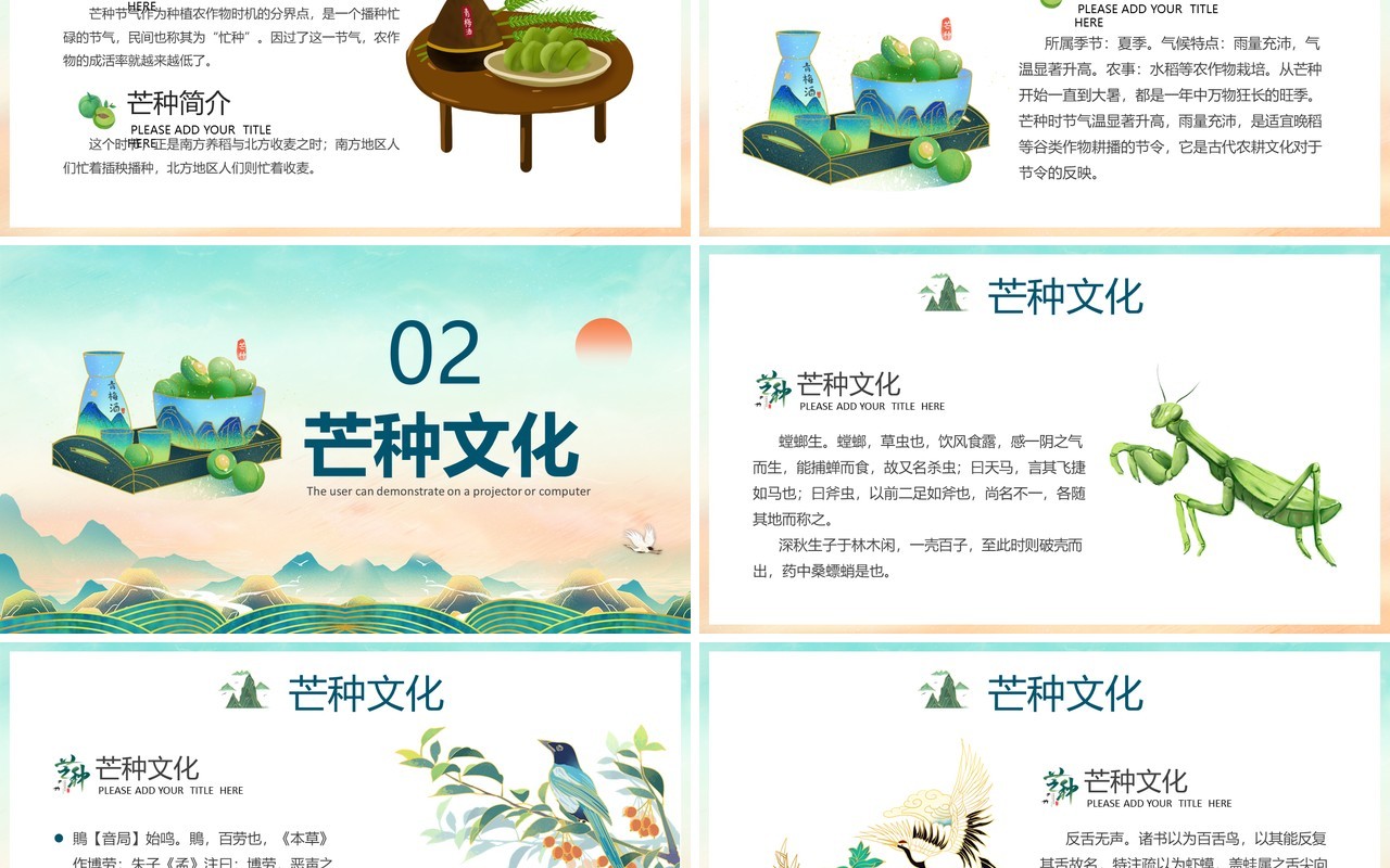 蓝色卡通风中国传统二十四节气芒种PPT模板