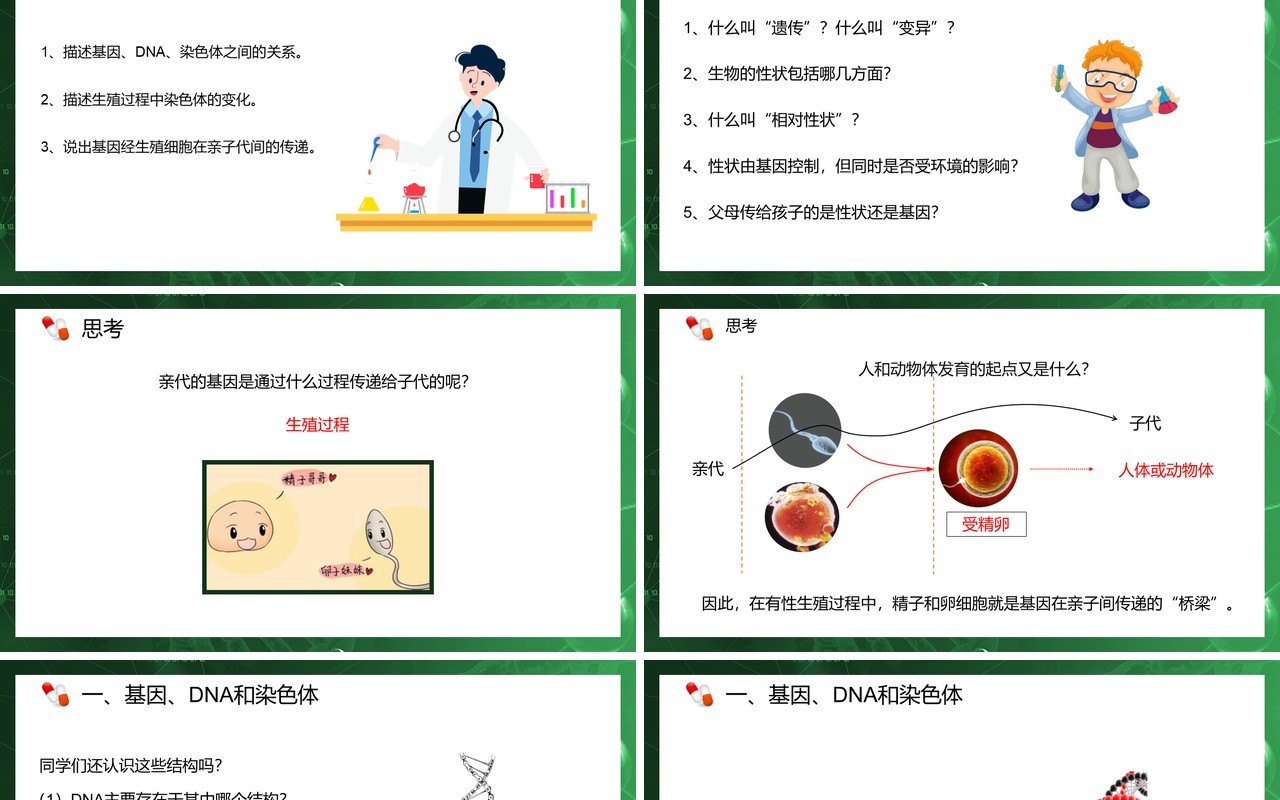 部编版八年级生物下册基因在亲子代间的传递课件PPT模板