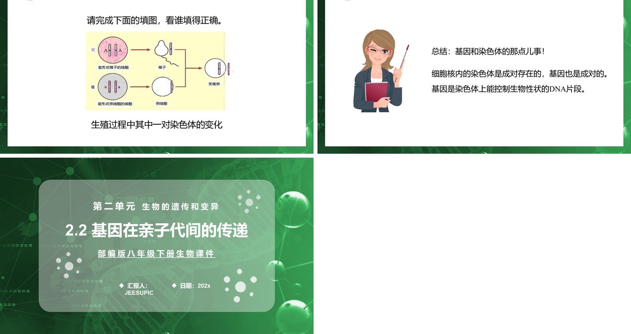 部编版八年级生物下册基因在亲子代间的传递课件PPT模板