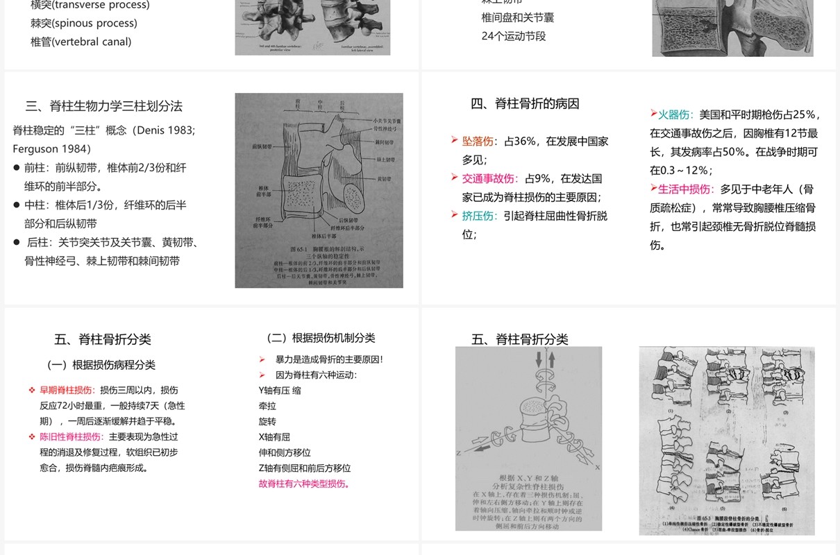 蓝色卡通风脊柱骨折与脊髓损伤PPT模板
