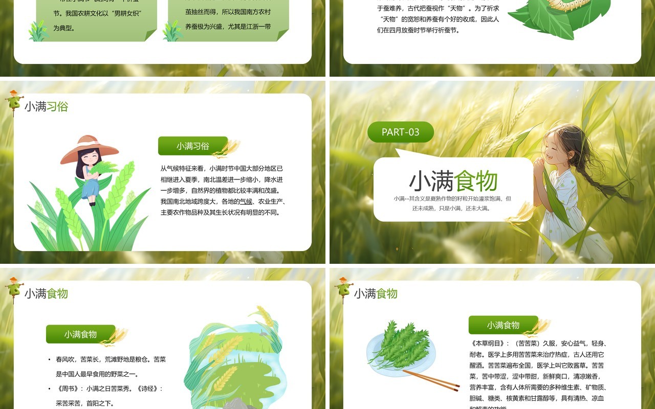绿色插画风二十四传统小满节气PPT模板