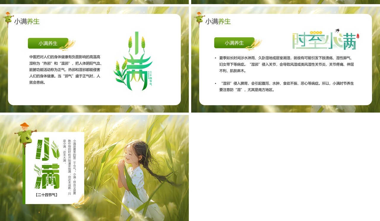 绿色插画风二十四传统小满节气PPT模板