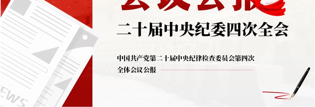红色简约风二十届中央纪委四次全会PPT模板