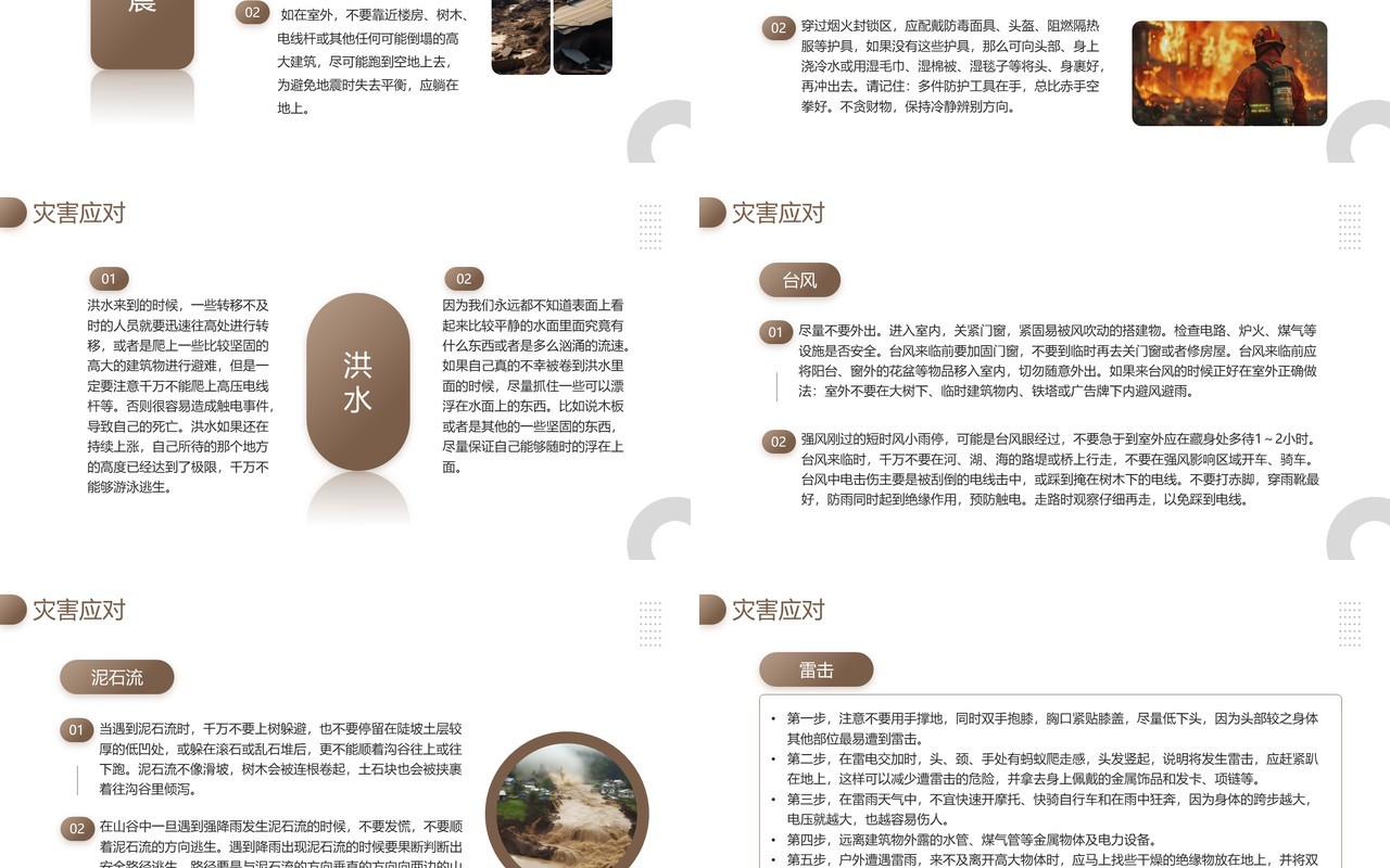 棕色简约风国际减灾日主题介绍PPT模板