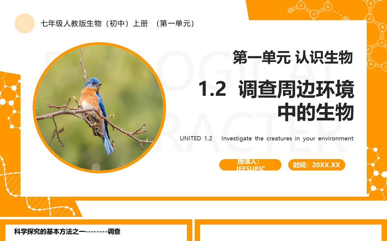 部编版七年级生物上册调查周边环境中的生物PPT模板
