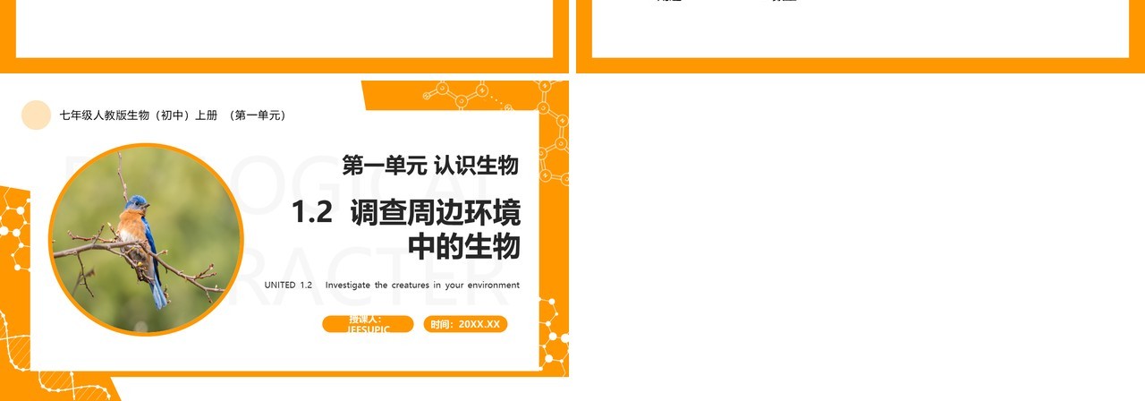 部编版七年级生物上册调查周边环境中的生物PPT模板