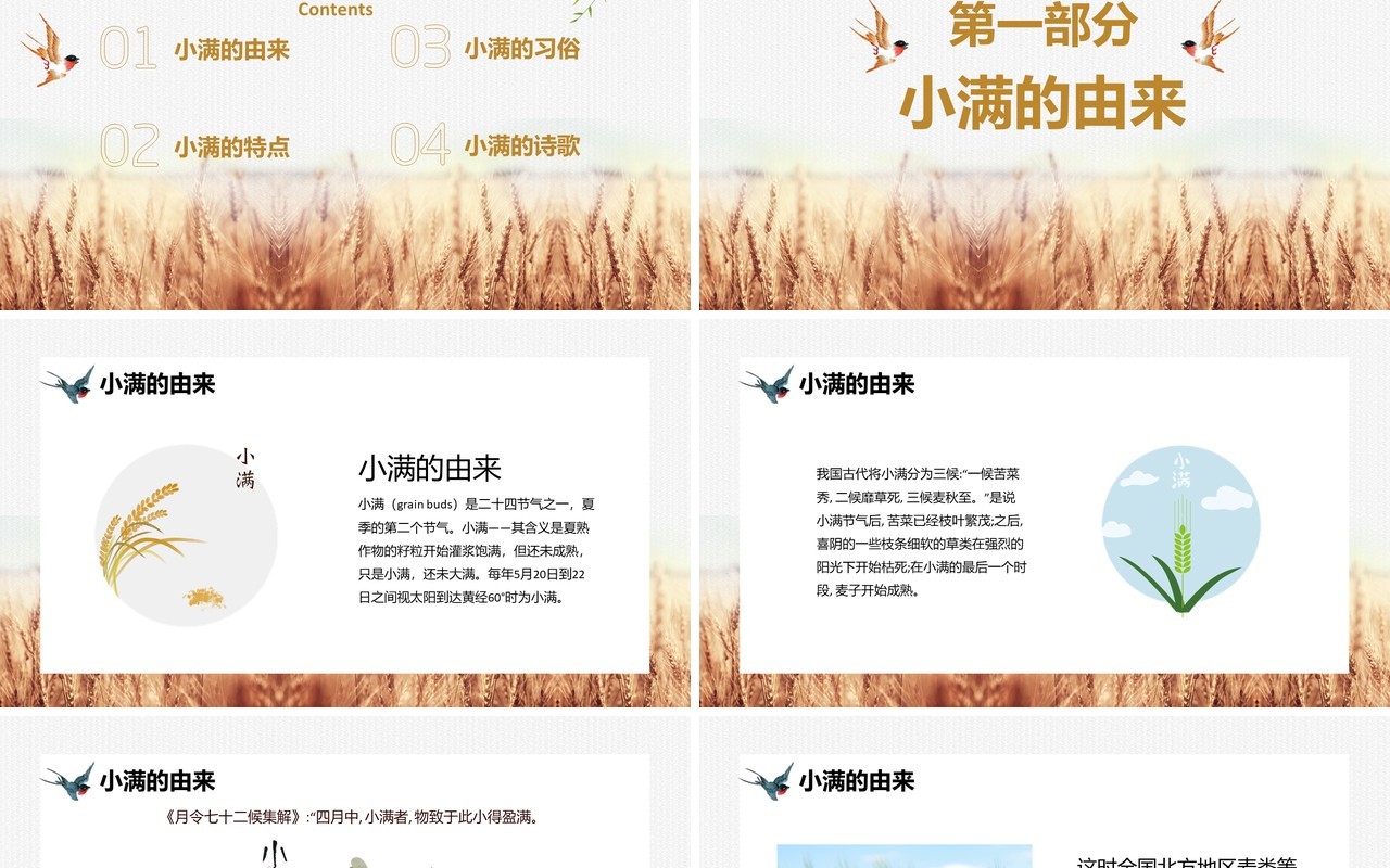 文艺风二十四节气之小满介绍PPT模板