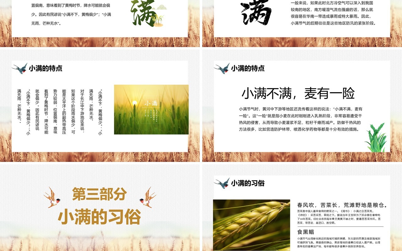 文艺风二十四节气之小满介绍PPT模板