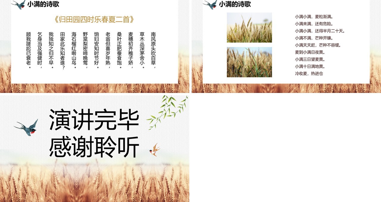 文艺风二十四节气之小满介绍PPT模板